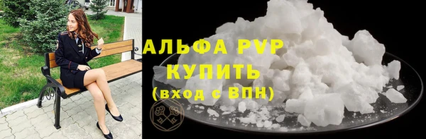 apvp Алзамай