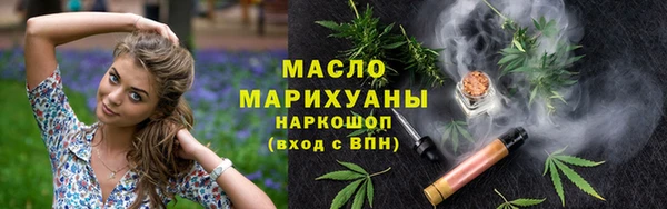 молекула духа Михайлов