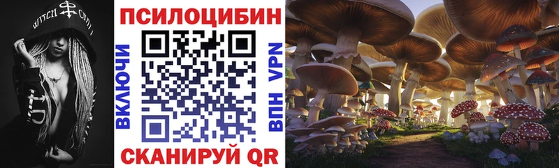 darknet клад  Лодейное Поле  Галлюциногенные грибы мицелий 